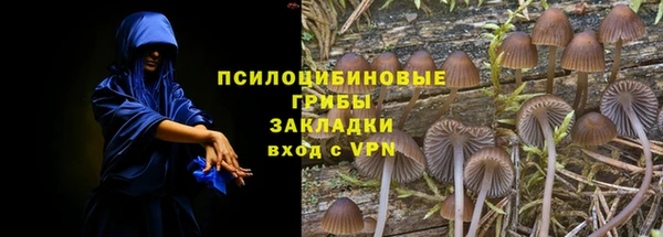 круглые Переславль-Залесский