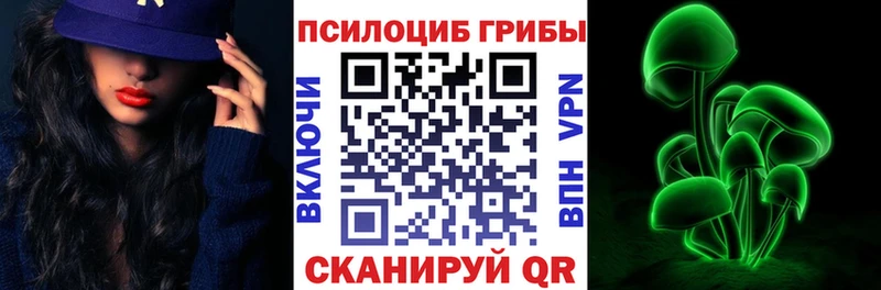 Галлюциногенные грибы Psilocybe  что такое   Краснознаменск 